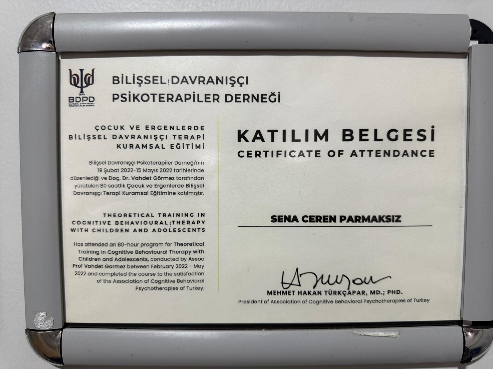 Klinik Psikolog Sedat Parmaksız sertifika 2 - BDT, EMDR, çift terapisi ve klinik psikoloji sertifikaları