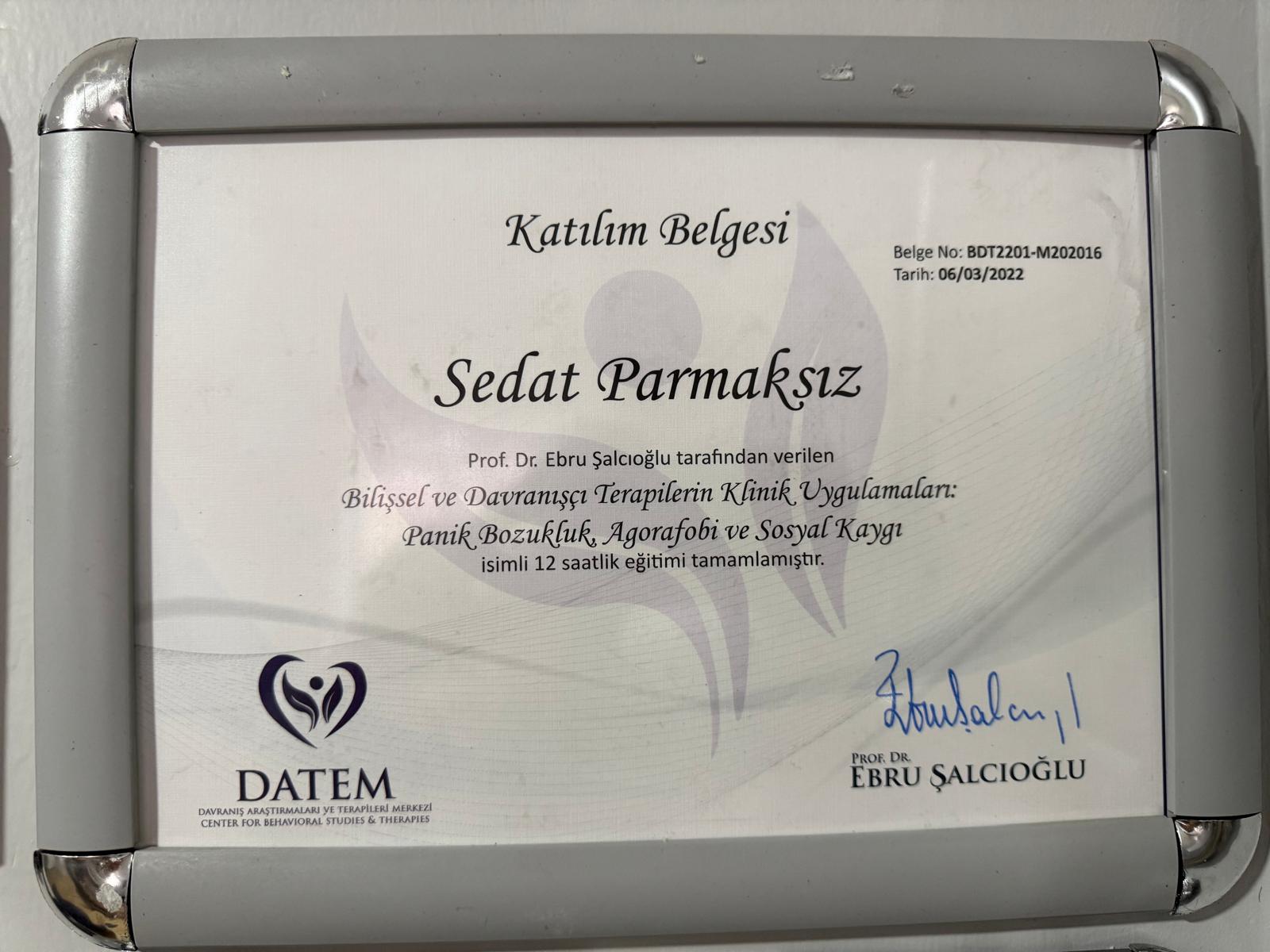 Klinik Psikolog Sedat Parmaksız sertifika 9 - BDT, EMDR, çift terapisi ve klinik psikoloji sertifikaları