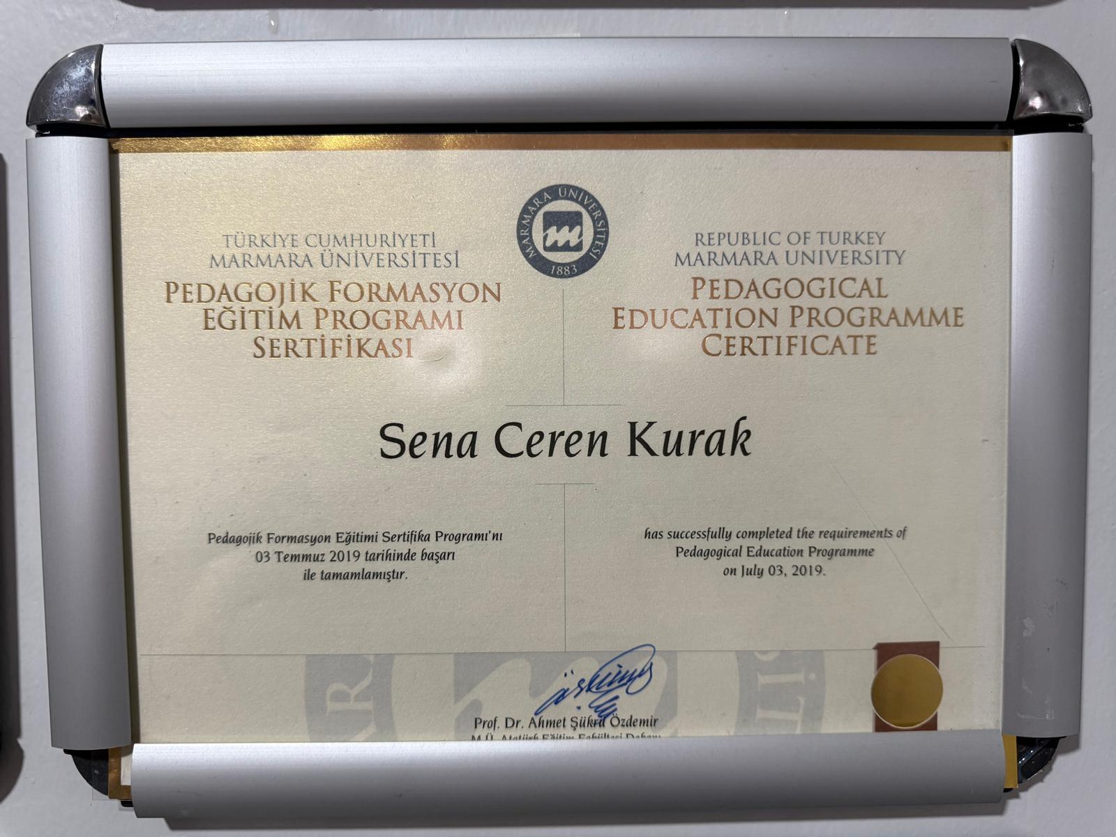 Klinik Psikolog Sedat Parmaksız sertifika 15 - BDT, EMDR, çift terapisi ve klinik psikoloji sertifikaları